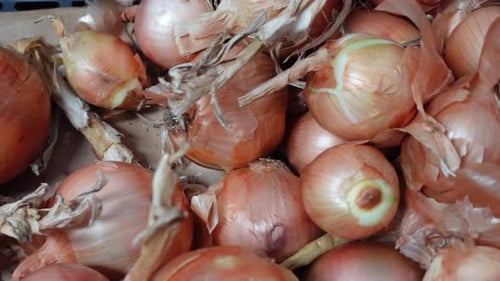 whole yellow onions at the Market