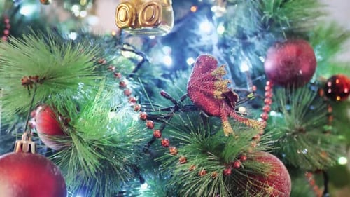 Close Up a Christmas Tree Lights Glittering at Night