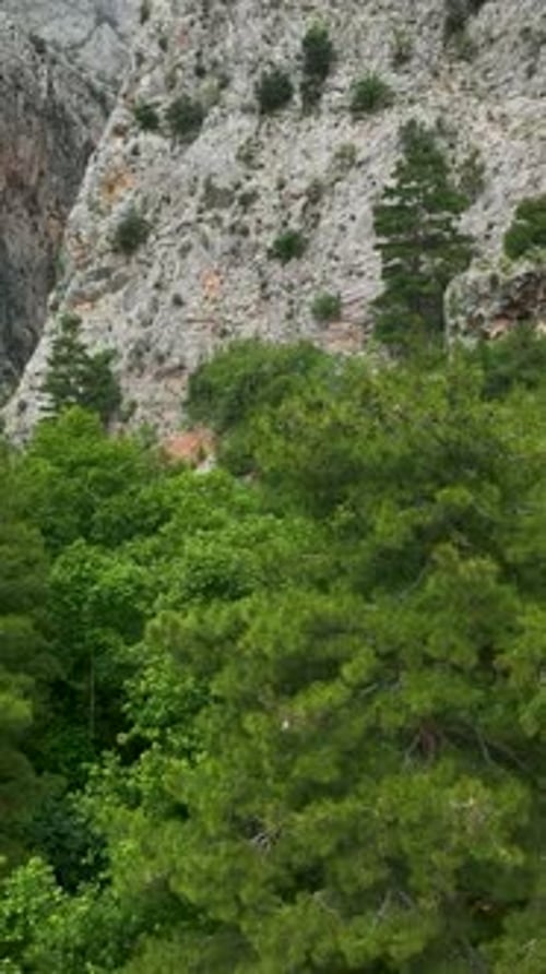 Vertical Video Nature's Wonderland Aerial Footage of Green Canyon