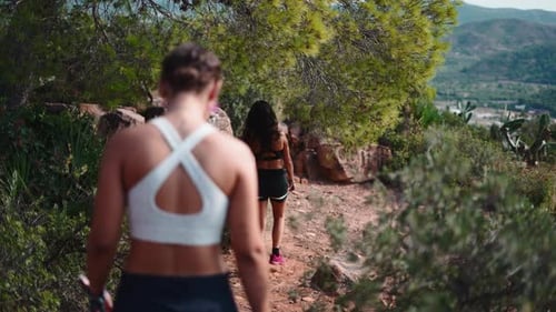 Group of Friends Hiking Together on a Mountain Trail