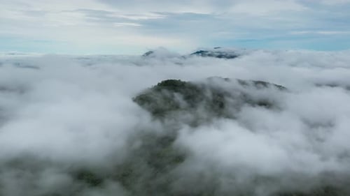 Mountain Peaks and Forest Shrouded in Thick Clouds