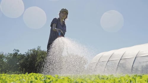 Pretty Farmer bewässert grüne junge Setzlinge auf dem Feld in der Nähe des Gewächshauses