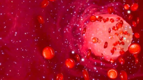 Red blood cells flowing through a vessel