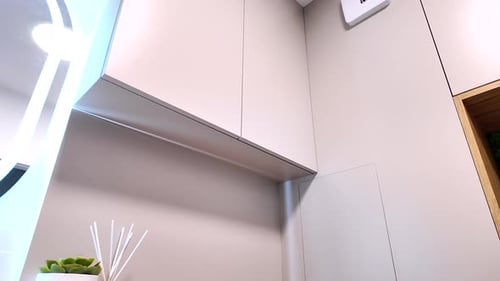 Modern Bathroom Design with Lit Mirror and Succulent