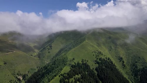 Prés alpins et ciel bleu nuageux