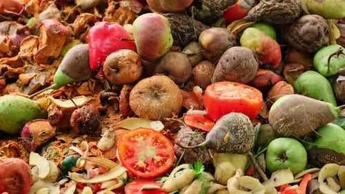 Desperdicio de alimentos. Restos de comida compostables. Residuos orgánicos domésticos para abono de frutas y verduras