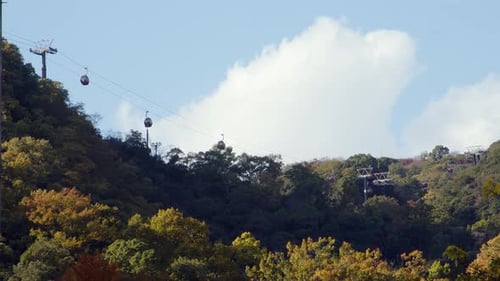 Cable car ropeway gondolas traverse mountainside forest under sunny sky