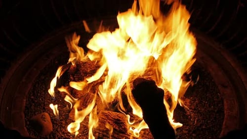 Burning Firewood Bright Flames in a Pit
