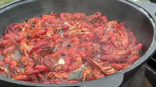 River Crayfish Are Boiling In A Cauldron Over An Open Fire. The Crayfish Have Turned Red. Close Up.
