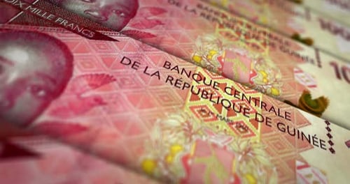Guinea francs money banknote surface loop