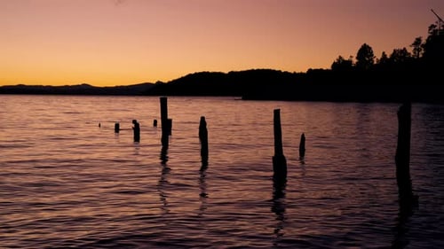 Troncos flotando en las tranquilas aguas del lago durante el amanecer