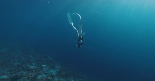 Woman Freediver Dive and Swimming on Deep Ocean Freediving in Blue Ocean
