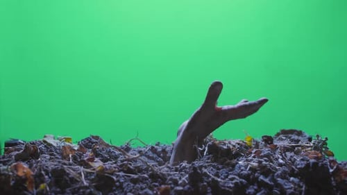 Hand Emerge from Soil in Front of Greenscreen
