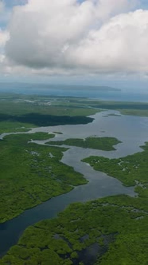 Wide River Crossing Mangrove Forest and Plains Siargao Philippines
