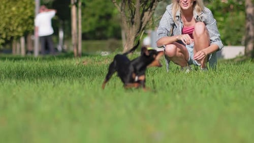 Woman Plays Fetch with Dog in Grassy Park