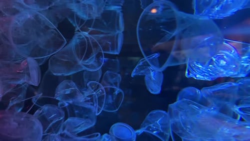 Plastic Waste Floating in Water Ocean Plastic Pollution Concept