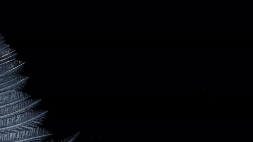 Frozen Window with Geometric Patterns