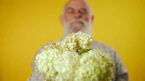 Senior Man Holding Flowers on Yellow Background