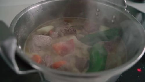 Meat and vegetable stew in pot with steam rising, Closeup