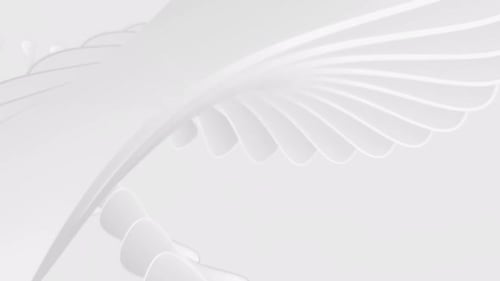 Minimalist White Abstract Flowing Ribbons Background