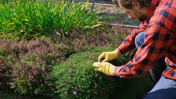 Professional Garden Worker Gardener Working in the Large Backyard ...