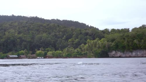 Tropical Island Coastline with Lush Rainforest