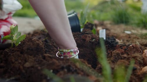 Mom Planting Flowers With Kids Hand Working With Soil In Sunny Family Garden