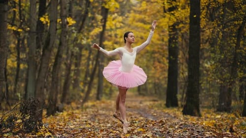 One Little Ballerina Dances in a Cold Autumn Park