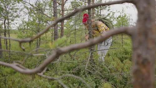 A Woman Walks Through the Forest and Eats Blueberries in a Stylish Blouse and Hat