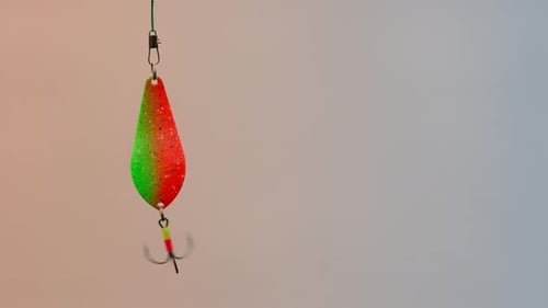 Der Köder für Raubfische hängt in der Luft