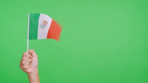Hand holding a Mexican flag on green screen