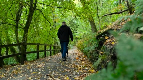 Man walks his black lurcher dog wearing a green jacket and lead