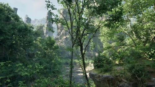 A Vibrant Tropical Jungle Filled with Lush Green Trees Mountain Path