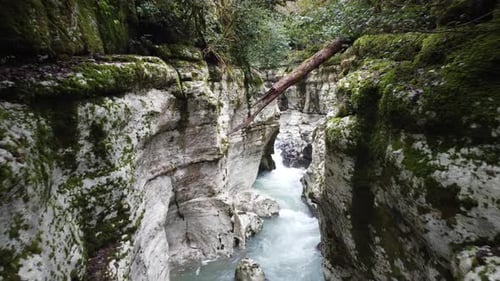 Canyon White Rocks Deep River Gorge In