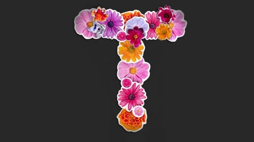 Decorative Flower Letter T Reveal Animation