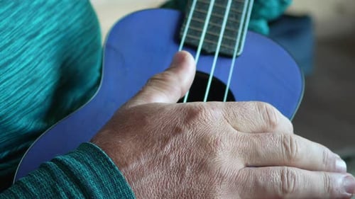 Ukulele spielt Musik, Nahaufnahme von handklimmenden Saiten auf einem lila Instrument