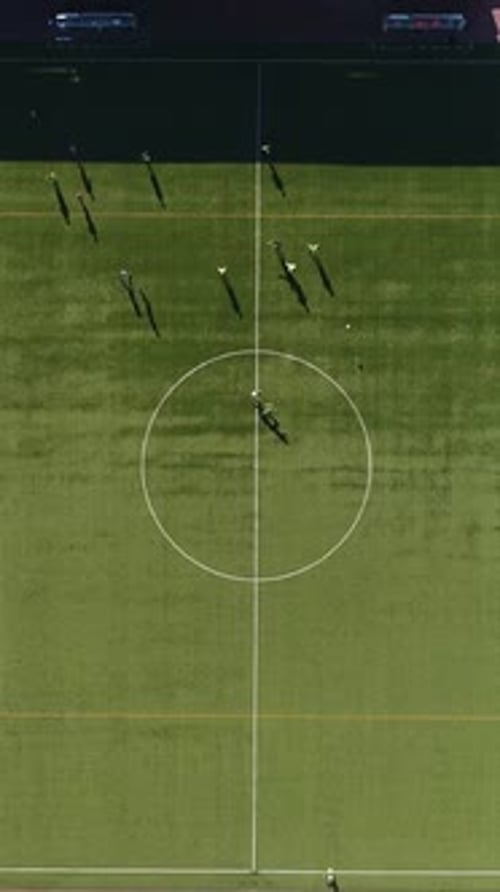 Aerial View of Soccer Team on Green Field