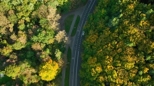 Vista aérea de una carretera sinuosa a través de un denso bosque otoñal, con un solo automóvil blanco conduciendo por t