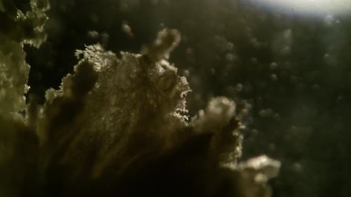 Abstract Microscopic Organic Particles Flowing Animation