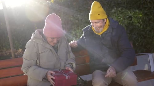 Christmas Surprise on a Park Bench Senior Couple Sharing a Special Moment