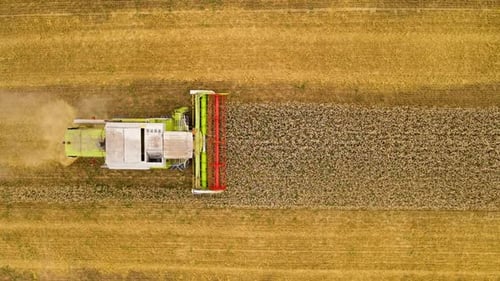Top Down View Harvester Machine Working to Collect Wheat Field