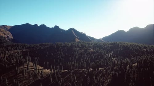 Mountain Forest Landscape Under Evening Sky