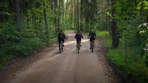 Three Young Girls Friends Riding Bicycles In Forest In Summer Day Back View Active Pastime