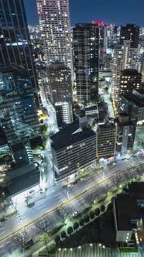 Shinjuku Japan Skyline Night Time Lapse. Vertical video.