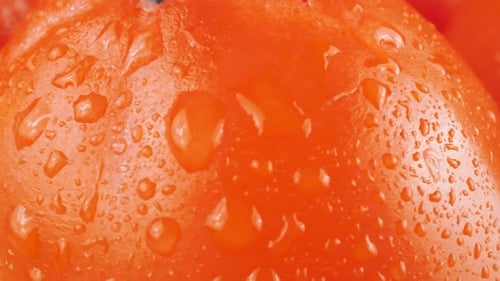 Macro Shot of Orange Persimmon Fruit with Water