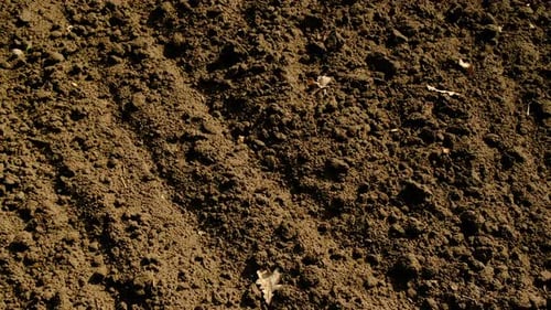 A Tractor Plows the Ground in the Field Selective Focus
