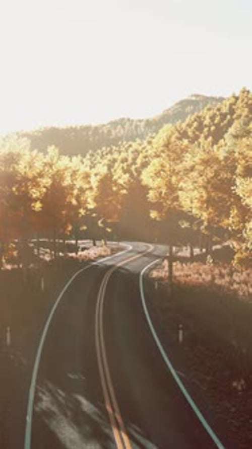 Road and Yellow Mountain Forest at Sunset