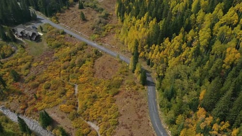 Green Yellow Landscape in Colorado Countryside, USA. Birdseye Aerial View, Road and Fall Foliage Col