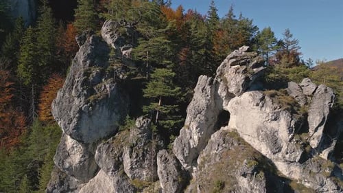 Fliegen Sie über felsige Klippen im farbenfrohen herbstlichen Bergwald