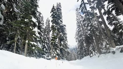Extreme wide tilting down slow motion shot revealing a beautiful ski trail surrounded by snow and pi